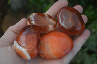 Polished Carnelian Agate Palm Stones  x 12 From Madagascar - Toprock Gemstones and Minerals 