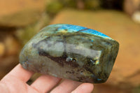 Polished Labradorite Standing Free Forms With Intense Blue & Gold Flash x 3 From Tulear, Madagascar - TopRock