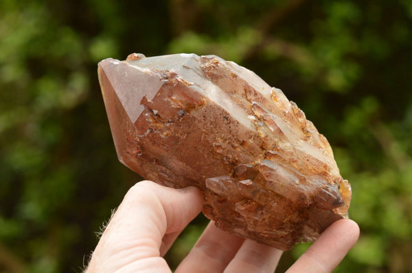 Natural Single Red Hematoid Quartz Crystals  x 6 From Karoi, Zimbabwe - TopRock