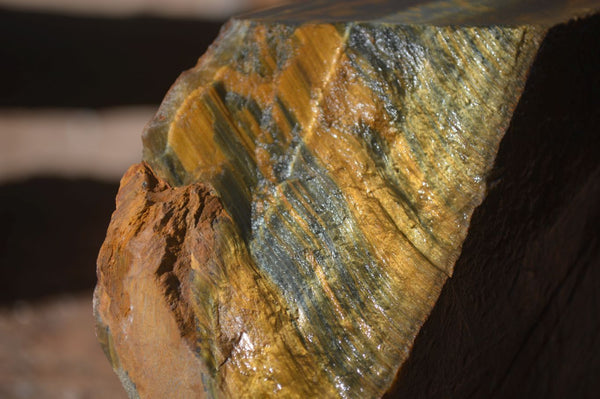 Natural Sliced Tigers Eye Specimen x 1 From Prieska, South Africa - Toprock Gemstones and Minerals 