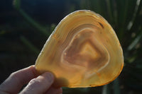 Polished Gorgeous Banded Agate Slices  x 6 From Madagascar - Toprock Gemstones and Minerals 