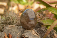 Polished Large Morion Smokey Quartz Eggs x 4 From Madagascar - TopRock