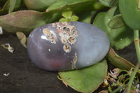 Polished River Agate Palm Stones  x 16 From Sashe River, Zimbabwe