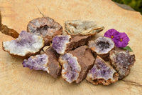 Natural Amethyst & Basalt Geode Specimens  x 12 From Zululand, South Africa - TopRock