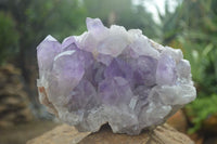 Natural Large Jacaranda Amethyst Vug Specimen  x 1 From Mumbwa, Zambia - Toprock Gemstones and Minerals 