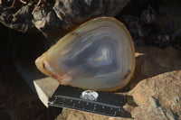 Polished Gorgeous Banded Agate Slices  x 6 From Madagascar - Toprock Gemstones and Minerals 