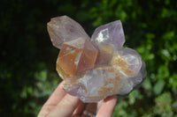 Natural Jacaranda Amethyst Clusters  x 3 From Mumbwa, Zambia - Toprock Gemstones and Minerals 