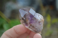 Natural New Window Amethyst Crystals  x 12 From KZN, South Africa - Toprock Gemstones and Minerals 