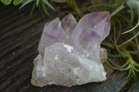 Natural Jacaranda Amethyst Crystal Clusters  x 3 From Mumbwa, Zambia - Toprock Gemstones and Minerals 