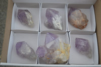 Natural Single Jacaranda Amethyst Crystals  x 6 From Mumbwa, Zambia - Toprock Gemstones and Minerals 