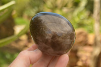 Polished Large Morion Smokey Quartz Eggs x 4 From Madagascar - TopRock