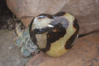 Polished Septaria Hearts x 6 From Mahajanga, Madagascar