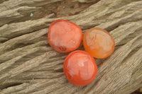 Polished Mini Carnelian Agate Palm Stones  x 35 From Madagascar - TopRock