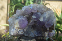 Natural Jacaranda Amethyst Cluster x 1 From Mumbwa, Zambia - TopRock