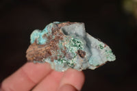 Natural Drusy Coated Chrysocolla & Malachite Dolomite Specimens x 6 From Congo