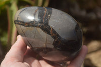 Polished Septerye Sauvage "Dragon" Eggs x 2 From Mahajanga, Madagascar - TopRock