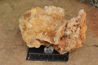 Natural Golden Limonite / Lemonite Quartz Clusters  x 2 From Zambia - TopRock