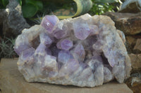 Natural Jacaranda Amethyst Cluster x 1 From Mumbwa, Zambia - TopRock