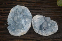 Natural Blue Celestite Crystal Specimens  x 2 From Sakoany, Madagascar - Toprock Gemstones and Minerals 