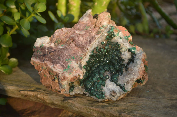 Natural Rare Ball Malachite On Drusy Quartz & Dolomite Matrix  x 1 From Kambove, Congo - Toprock Gemstones and Minerals 