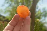 Polished Mini Carnelian Agate Palm Stones  x 35 From Madagascar - TopRock