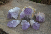 Natural Single Jacaranda Amethyst Crystals  x 6 From Mumbwa, Zambia - Toprock Gemstones and Minerals 