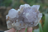 Natural Cactus Flower Amethyst Clusters  x 6 From Boekenhouthoek, South Africa - Toprock Gemstones and Minerals 