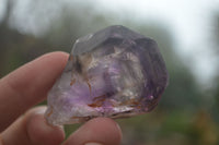 Natural New Window Amethyst Crystals  x 12 From KZN, South Africa - Toprock Gemstones and Minerals 