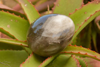 Polished Large Morion Smokey Quartz Eggs x 4 From Madagascar - TopRock