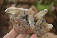 Natural Schorl Black Tourmaline & Smokey Quartz Specimens x 2 From Erongo Mountains, Namibia - TopRock