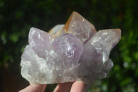 Natural Jacaranda Amethyst Clusters  x 3 From Mumbwa, Zambia - Toprock Gemstones and Minerals 