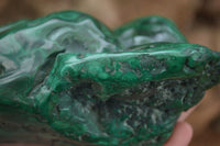 Polished  Large Malachite Free Form With Flower Ring Patterns  x 1 From Congo