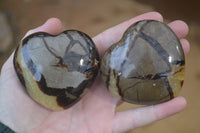 Polished Septaria Hearts x 6 From Mahajanga, Madagascar