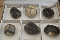 Polished Septaria Nodule Free Forms x 6 From Mahajanga, Madagascar