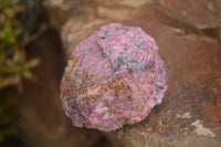 Natural Rough Red Rhodonite Specimens  x 6 From Zimbabwe - TopRock