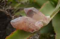 Natural Red Hematoid Quartz Specimens x 24 From Karoi, Zimbabwe - TopRock