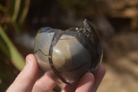 Polished Septerye Sauvage "Dragon" Eggs x 2 From Mahajanga, Madagascar - TopRock