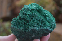 Natural Chatoyant Silky Malachite Specimens  x 7 From Kasompe, Congo