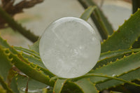 Polished Clear Quartz Crystal Balls / Spheres With Wooden Stands x 2 From Madagascar - TopRock