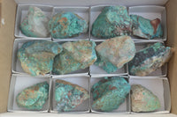 Natural Blue Shattuckite Specimens x 12 From Kaokoveld, Namibia