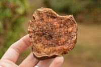 Natural Amethyst & Basalt Geode Specimens  x 12 From Zululand, South Africa - TopRock