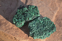 Natural Chatoyant Silky Malachite Specimens  x 6 From Kasompe, Congo