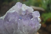 Natural Large Jacaranda Amethyst Vug Specimen  x 1 From Mumbwa, Zambia - Toprock Gemstones and Minerals 