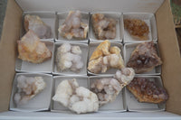 Natural Mixed Spirit Quartz Clusters  x 12 From Boekenhouthoek, South Africa - Toprock Gemstones and Minerals 