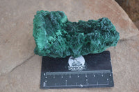 Natural Chatoyant Silky Malachite Specimens  x 7 From Kasompe, Congo