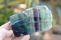 Polished One Side Polished Watermelon Fluorite Specimens  x 6 From Uis, Namibia - TopRock