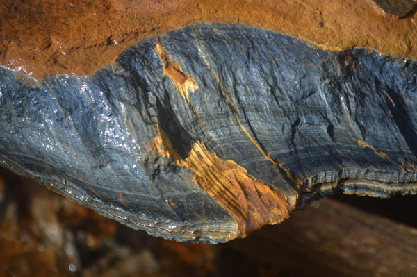 Natural Sliced Tigers Eye Specimen x 1 From Prieska, South Africa - Toprock Gemstones and Minerals 