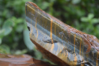 Natural Golden Blue Tigers Eye Specimens  x 2 From Prieska, South Africa - TopRock