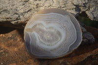 Polished Gorgeous Banded Agate Slices  x 6 From Madagascar - Toprock Gemstones and Minerals 