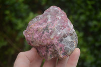 Natural Rough Red Rhodonite Specimens  x 6 From Zimbabwe - TopRock